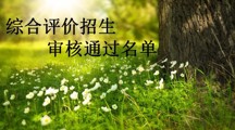 综合评价招生，审核通过名单
